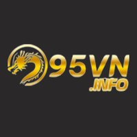 95vn info