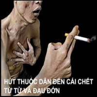 thuoc laaaaa