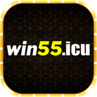 55wi n55
