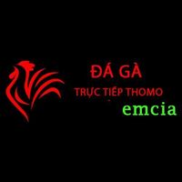 Đá Gà Trực Tiếp Thomo Hôm Nay 