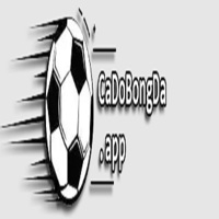 Trang Cá Độ Bóng Đá Uy Tín 