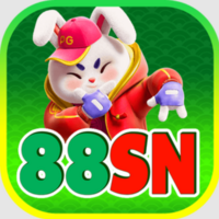 88SN 