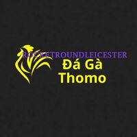 Đá Gà Trực Tiếp  Thomo