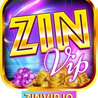 ZINVIP IO 