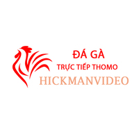 Đá Gà Trực Tiếp  Thomo
