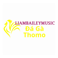Đá Gà Trực Tiếp Thomo