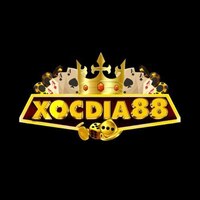 Xocdia88 feedback