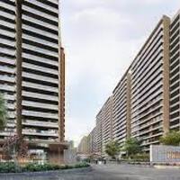 Prestige Evergreen