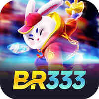 br333 co