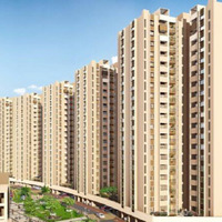Prestige Evergreen  Contact Us