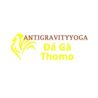 Đá Gà Trực Tiếp Thomo 