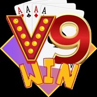 v9win 