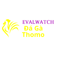 Da Ga Truc Tiep  Thomo