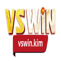 VSWIN KIM