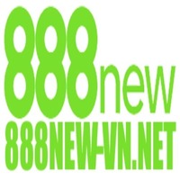 888new vn net