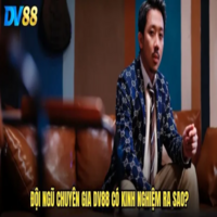 Tác giả DV88