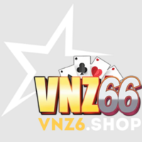 VNZ6 shop
