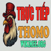 ĐÁ GÀ TRỰC TIẾP THOMO HÔM NAY TẠI CAMPUCHIA