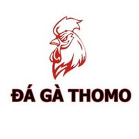 Đá gà Thomo