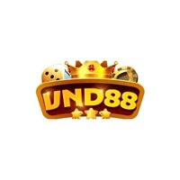 Cổng Game VND88 
