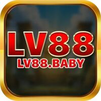 lv88 baby 