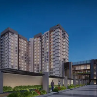 Purva Northernlights