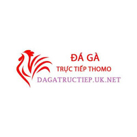 Đá Gà  Trực Tiếp