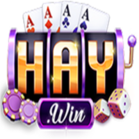 Haywin1 racing