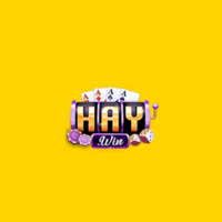 Haywin1 fund