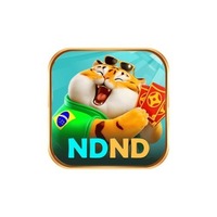 ndnd 
