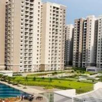 Purva Park  Royale