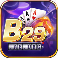 B29 Club