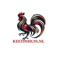 ĐÁ GÀ  THOMO KEETINHUIS