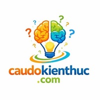 Cau Do Kien Thuc