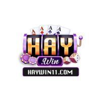 HAYWIN  11COM