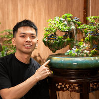 Hoàng Anh Tuấn