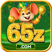 65z 