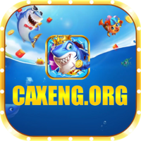 caxengorg1 caxengorg1
