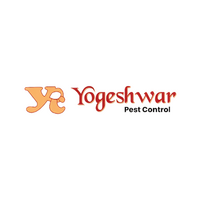 Yogeshwar Pest Control |  Termite Treatment & Service Ahmedabad