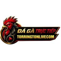 torringtonlive com