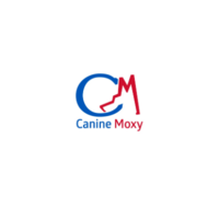 Canine Moxy
