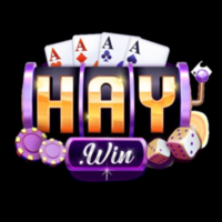 Haywin 4com