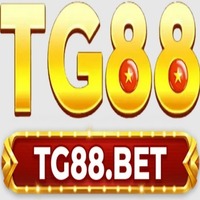 TG88 INC 