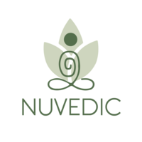 Nuvedic SEO