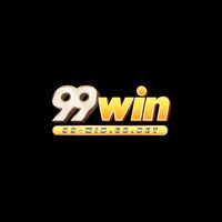 99wingbnet1 