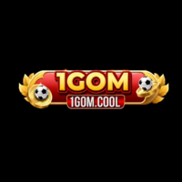 1Gomvn pro