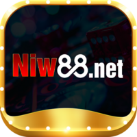 niw88 net