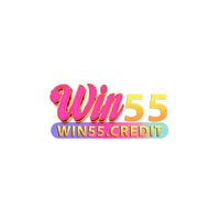 win55accountant1 