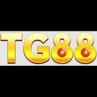 TG88 SOLUTIONS