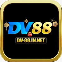 Dv88 innet